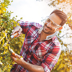 Young man trimming his hedges while smiling
